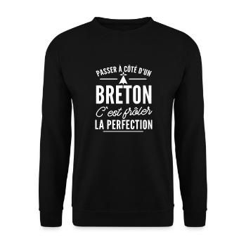 Breton perfection - cadeau humour breton - Sweat-shirt Unisexe - noir - Devant - Alina (178cm) & Michal (187cm)