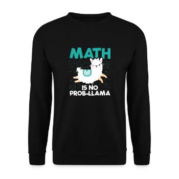 Mathe Lama | Mathematik Lehrer Schule Geschenkidee - Unisex Pullover - Schwarz - Vorne - Alina (178cm) & Michal (187cm)