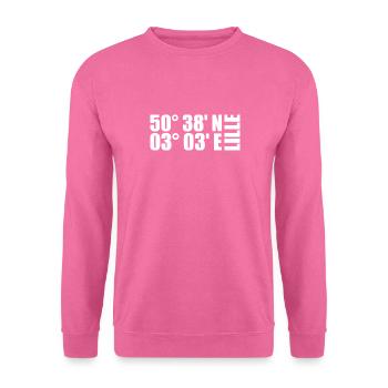 Lille Koordinaten - Unisex Pullover - Pink - Vorne