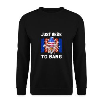 Just Here To Bang USA 4 juillet - Sweat-shirt Unisexe - noir - Devant - Alina (178cm) & Michal (187cm)