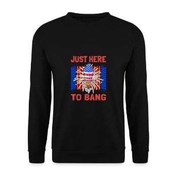 Just Here To Bang USA 4 juillet - Sweat-shirt Unisexe - noir - Devant - Alina (178cm) & Michal (187cm)