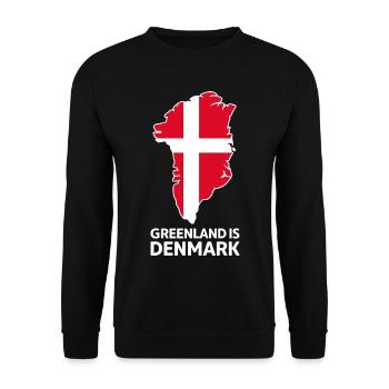 Carte du drapeau Groenland-Danemark - Sweat-shirt Unisexe - noir - Devant - Alina (178cm) & Michal (187cm)