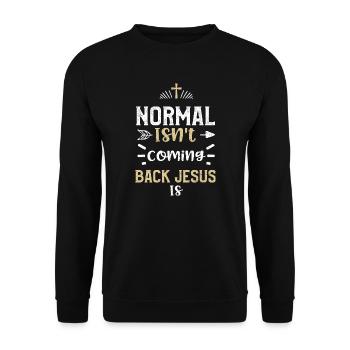 Normal Isn't Coming Back Jesus Is - Unisex Sweatshirt - black - Front - Alina (178cm) & Michal (187cm)