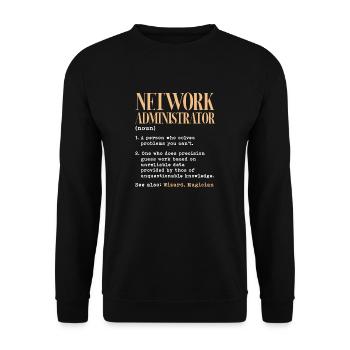Network administrator Definition - Unisex Pullover - Schwarz - Vorne - Alina (178cm) & Michal (187cm)