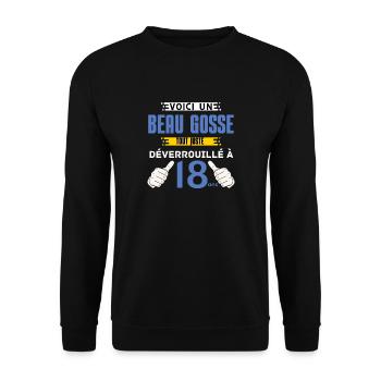 Anniversaire 18 ans Garçon Humoristique 18 ans - Sweat-shirt Unisexe - noir - Devant - Alina (178cm) & Michal (187cm)