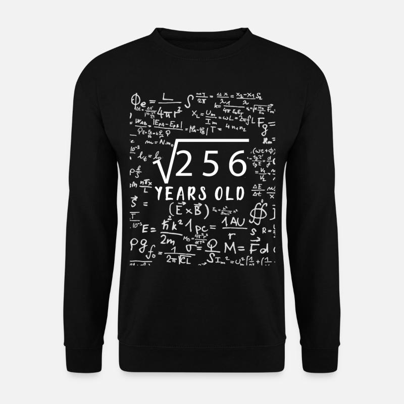 256 Jahre Alt Wurzel Mathematiker 16 Jahre - Unisex Pullover - Schwarz