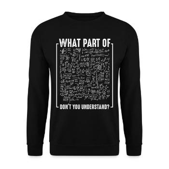 Physics Funny Sayings Cadeau génial de physicien - Sweat-shirt Unisexe - noir - Devant - Alina (178cm) & Michal (187cm)