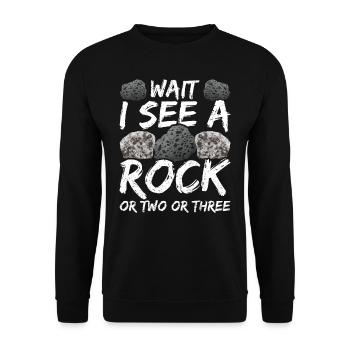 Wait I see a stone or two or three - Unisex Sweatshirt - black - Front - Alina (178cm) & Michal (187cm)