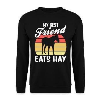 Mein Bester Freund Isst Heu Reiter Pferd Reiten - Unisex Pullover - Schwarz - Vorne - Alina (178cm) & Michal (187cm)