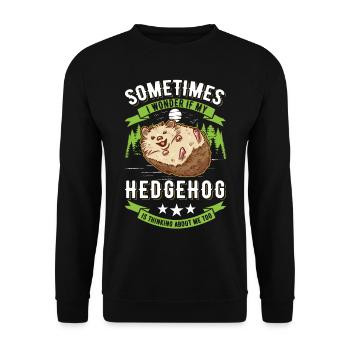 Igel Geschenk Stacheligel - Unisex Pullover - Schwarz - Vorne - Alina (178cm) & Michal (187cm)