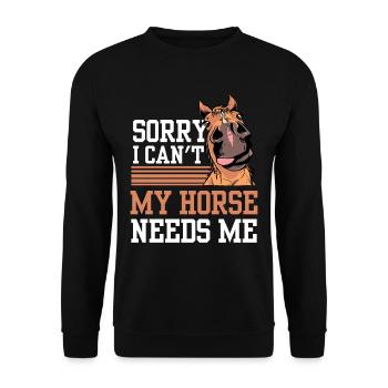 Kann Nicht Mein Pferd Braucht Mich Reiten Reiter - Unisex Pullover - Schwarz - Vorne - Alina (178cm) & Michal (187cm)