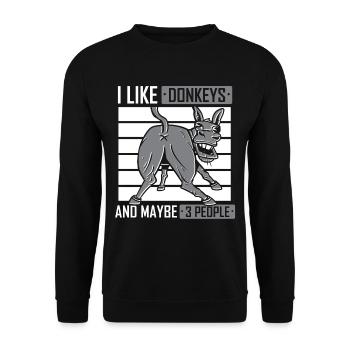 Ich Mag Esel Und Vielleicht 3 Menschen Bauernhof - Unisex Pullover - Schwarz - Vorne - Alina (178cm) & Michal (187cm)