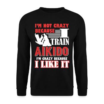 Aikido I Train Aikido - Unisex Sweatshirt - black - Front - Alina (178cm) & Michal (187cm)
