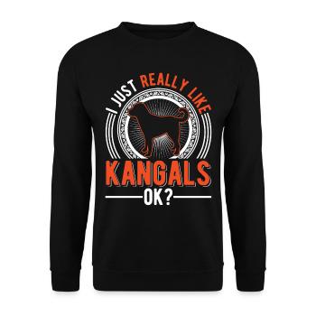 Kangal Dog Gift - Unisex Sweatshirt - black - Front - Alina (178cm) & Michal (187cm)