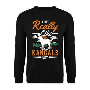 Cadeau chien Kangal - Sweat-shirt Unisexe - noir - Devant - Alina (178cm) & Michal (187cm)