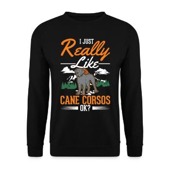 I just like Cane Corsos - Unisex Sweatshirt - black - Front - Alina (178cm) & Michal (187cm)
