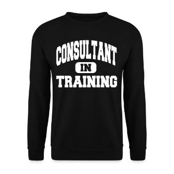Consultant In Training - Unisex Sweatshirt - black - Front - Alina (178cm) & Michal (187cm)