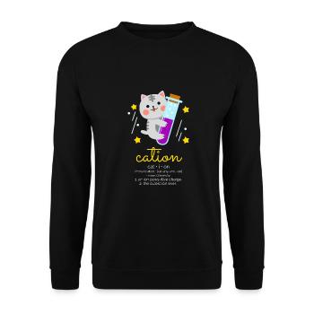 Cation Kation Katzen Wortspiel Chemie Physik Nerd - Unisex Pullover - Schwarz - Vorne - Alina (178cm) & Michal (187cm)