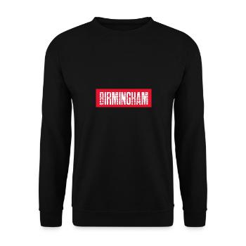 Birmingham - Unisex Sweatshirt - black - Front - Alina (178cm) & Michal (187cm)