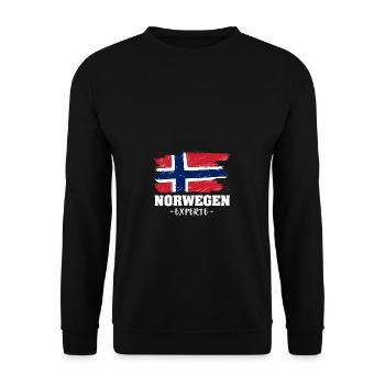 Norwegen Experte Flagge Urlaub Geschenk - Unisex Pullover - Schwarz - Vorne - Alina (178cm) & Michal (187cm)
