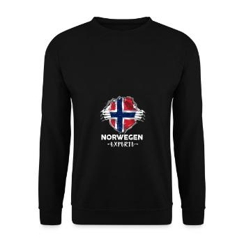 Norwegen Experte Flagge Urlaub Geschenk - Unisex Pullover - Schwarz - Vorne - Alina (178cm) & Michal (187cm)