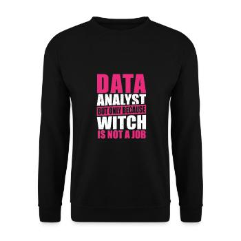 Geek Data Collector Data Analysis Data Science - Unisex Sweatshirt - black - Front - Alina (178cm) & Michal (187cm)