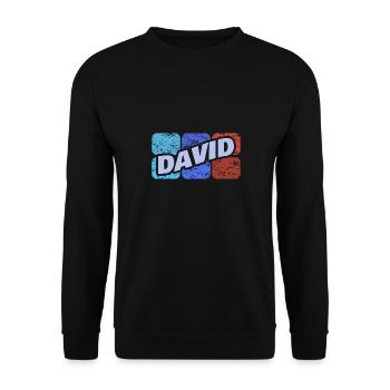 David als David - Unisex Pullover - Schwarz - Vorne - Alina (178cm) & Michal (187cm)