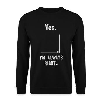 Lustig Mathematik Spruch Mathelehrer Mathesprüche - Unisex Pullover - Schwarz - Vorne - Alina (178cm) & Michal (187cm)