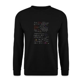 Formule de professeur de maths math physique - Sweat-shirt Unisexe - noir - Devant - Alina (178cm) & Michal (187cm)