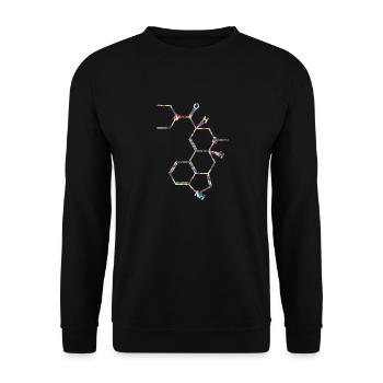 LSD Strukturformel Acid Molekül Albert Hofmann - Unisex Pullover - Schwarz - Vorne - Alina (178cm) & Michal (187cm)