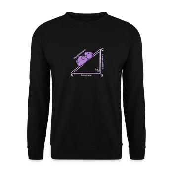 Hyppothenuse math Funny teacher - Sweat-shirt Unisexe - noir - Devant - Alina (178cm) & Michal (187cm)