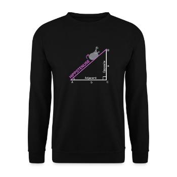 Idée de conception de cadeau de plaisanterie drôle de nerd Hippotenuse - Sweat-shirt Unisexe - noir - Devant - Alina (178cm) & Michal (187cm)