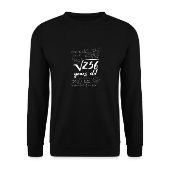 16 Jahre alt 16. Geburtstag Wurzel aus 256 Mathe - Unisex Pullover - Schwarz - Vorne - Alina (178cm) & Michal (187cm)
