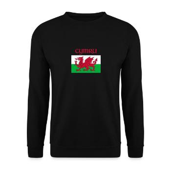 Wales 'Cymru' Walisische Flagge stolz te be Welsh Rugby T - Unisex Pullover - Schwarz - Vorne - Alina (178cm) & Michal (187cm)