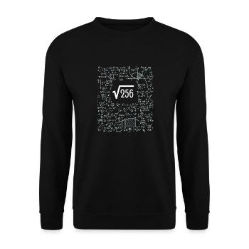 16th Birthday Square Root of 256: 16 Years Old - Unisex Sweatshirt - black - Front - Alina (178cm) & Michal (187cm)