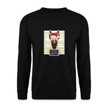 Dear Santa I Can Explain Belgian Malinois - Unisex Pullover - Schwarz - Vorne - Alina (178cm) & Michal (187cm)