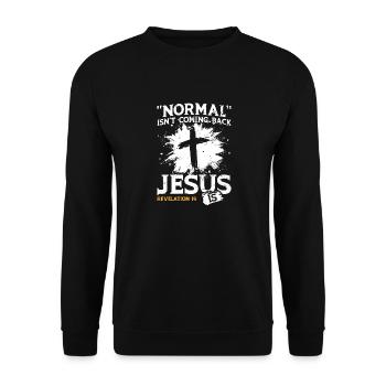 Normal Isn't Coming Back Jesus is - Unisex Sweatshirt - black - Front - Alina (178cm) & Michal (187cm)
