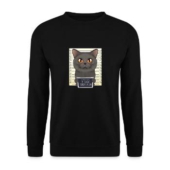 British Shorthair Cat Mom - Dear Mom I Can Explain - Unisex Sweatshirt - black - Front - Alina (178cm) & Michal (187cm)