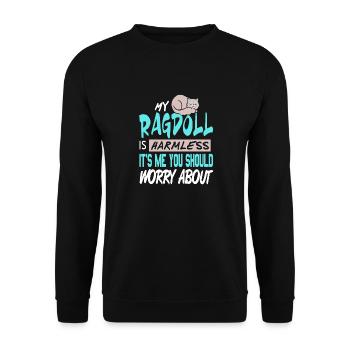My Ragdoll Is Harmless It’s Me You Should Worry - Unisex Pullover - Schwarz - Vorne - Alina (178cm) & Michal (187cm)
