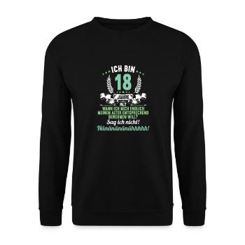 Ich bin 18 Jahre alt 18 Geburtstag - Unisex Pullover - Schwarz - Vorne - Alina (178cm) & Michal (187cm)