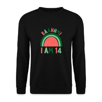 14 Jahre alt Rainbow Regenbogen 14. Geburtstag - Unisex Pullover - Schwarz - Vorne - Alina (178cm) & Michal (187cm)