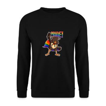 Owl I LGBTQ Flag I Rainbow Flag I Gay Pride - Unisex Pullover - Schwarz - Vorne - Alina (178cm) & Michal (187cm)