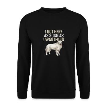 Grand chien pyrénéen - Sweat-shirt Unisexe - noir - Devant - Alina (178cm) & Michal (187cm)