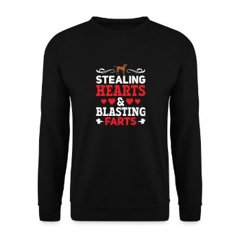 Redbone Coonhound Hund Geschenk - Unisex Pullover - Schwarz - Vorne - Alina (178cm) & Michal (187cm)
