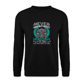 Vikings - Unisex Pullover - Schwarz - Vorne - Alina (178cm) & Michal (187cm)