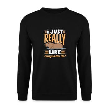 Capybara rongeur J’aime vraiment les capybars ok - Sweat-shirt Unisexe - noir - Devant - Alina (178cm) & Michal (187cm)
