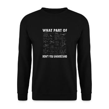 Quelle partie de vous ne comprend pas - Math Meme - Sweat-shirt Unisexe - noir - Devant - Alina (178cm) & Michal (187cm)