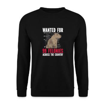 Capybara Nagetier - Unisex Pullover - Schwarz - Vorne - Alina (178cm) & Michal (187cm)