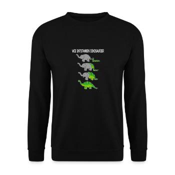 Wie entstanden Dinosaurier - Lustiges Meme - Unisex Pullover - Schwarz - Vorne - Alina (178cm) & Michal (187cm)