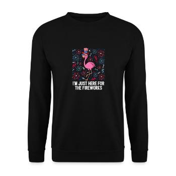 4 juillet à Just Here For The Fireworks USA - Sweat-shirt Unisexe - noir - Devant - Alina (178cm) & Michal (187cm)